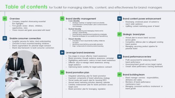 Table Of Contents For Toolkit For Managing Identity Content And Effectiveness For Brand Managers Inspiration PDF Table Of Contents For Toolkit For Managing Identity Content And Effectiveness For Brand Managers Inspiration PDF