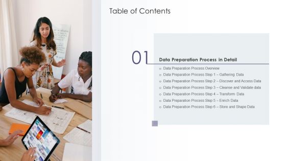 Table Of Contents Outline Of Data Preprocessing Strategies And Importance Table Of Contents Data Introduction PDF