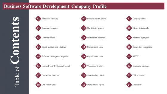 Table Of Contents Profile Business Software Development Company Profile Introduction PDF