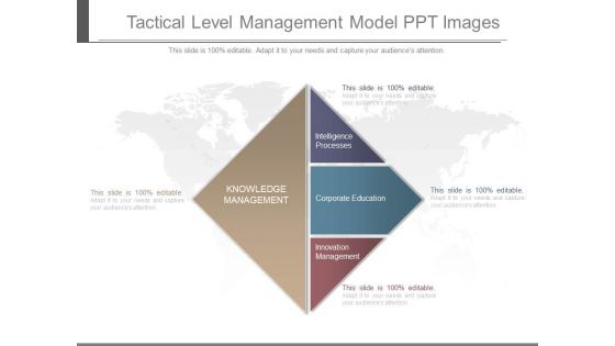 Tactical Level Management Model Ppt Images