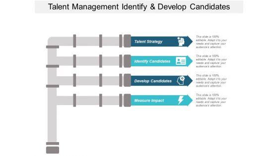Talent Management Identify And Develop Candidates Ppt PowerPoint Presentation Ideas Visual Aids