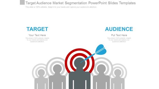 Target Audience Market Segmentation Powerpoint Slides Templates