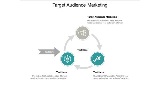 Target Audience Marketing Ppt PowerPoint Presentation Infographic Template Guidelines Cpb