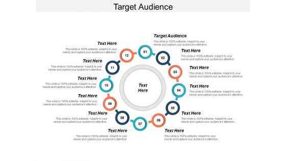 Target Audience Ppt PowerPoint Presentation Infographic Template Examples Cpb