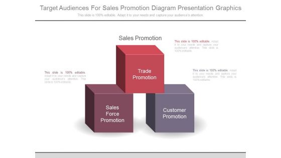 Target Audiences For Sales Promotion Diagram Presentation Graphics