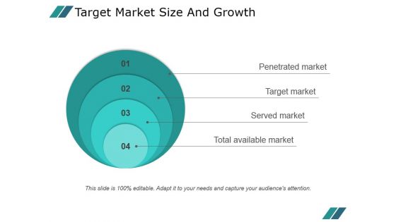Target Market Size And Growth Template 1 Ppt PowerPoint Presentation Clipart