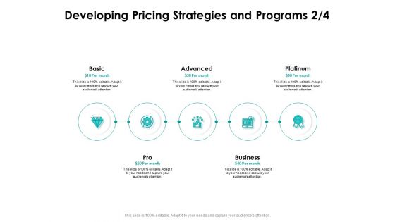 Target Market Strategy Developing Pricing Strategies And Programs Basic Ppt Infographics Infographics PDF