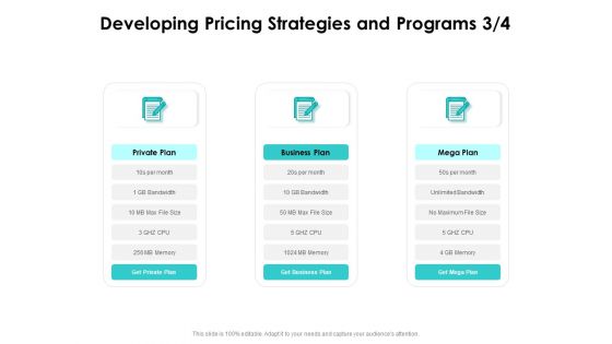 Target Market Strategy Developing Pricing Strategies And Programs Plan Ppt Ideas PDF