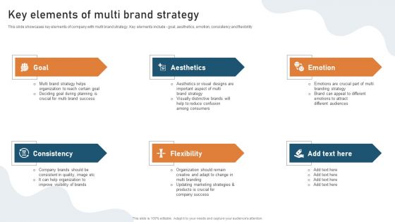 Targeted Market Entry Strategy Key Elements Of Multi Brand Strategy Professional PDF