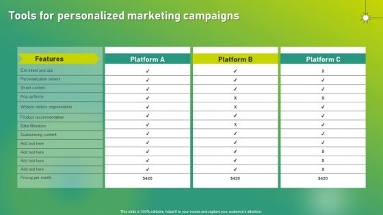 Targeted Marketing Strategic Plan For Audience Engagement Tools For Personalized Marketing Campaigns Designs PDF