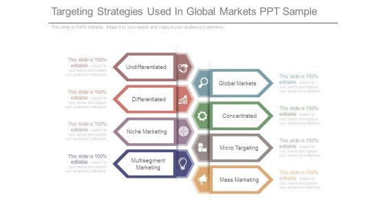 Targeting Strategies Used In Global Markets Ppt Sample