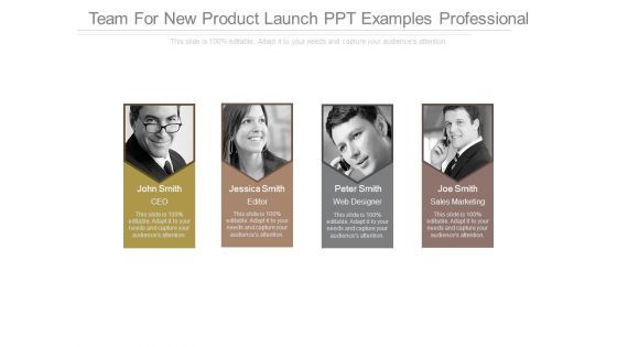 Team For New Product Launch Ppt Examples Professional