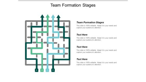 Team Formation Stages Ppt Powerpoint Presentation File Summary Cpb