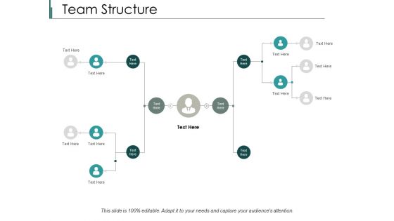 Team Structure Ppt PowerPoint Presentation Icon Design Templates