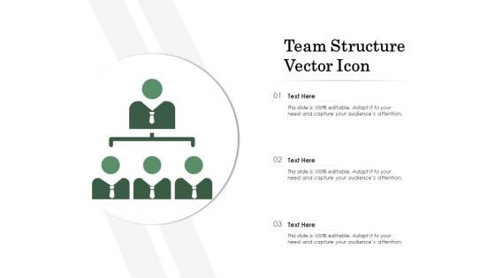 Team Structure Vector Icon Ppt PowerPoint Presentation Infographics Pictures PDF Team Structure Vector Icon Ppt PowerPoint Presentation Infographics Pictures PDF