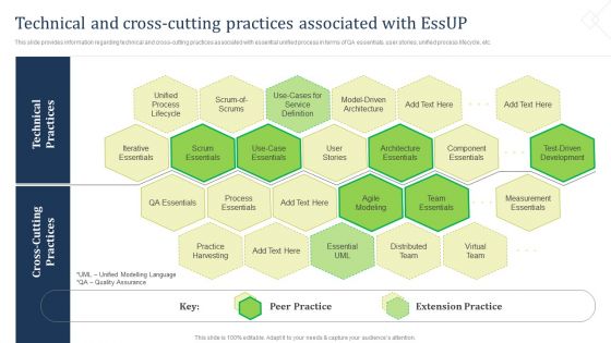 Technical And Cross Cutting Practices Associated With Essup Elements PDF