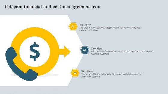 Telecom Financial And Cost Management Icon Summary PDF