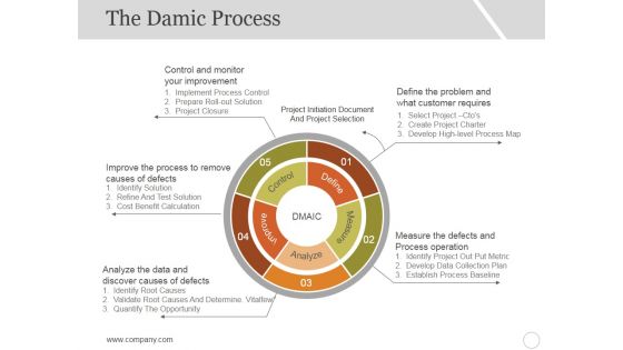 The Damic Process Template 1 Ppt PowerPoint Presentation Model Guidelines