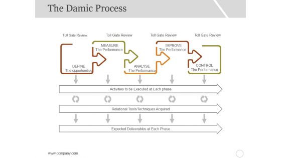The Damic Process Template 2 Ppt PowerPoint Presentation Summary Example