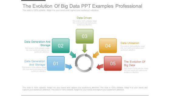 The Evolution Of Big Data Ppt Examples Professional