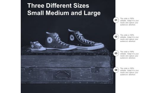 Three Different Sizes Small Medium And Large Ppt Powerpoint Presentation Show Influencers