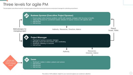 Three Levels For Agile PM Guidelines PDF