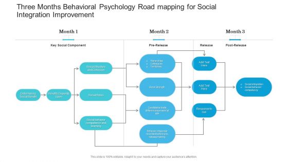 Three Months Behavioral Psychology Road Mapping For Social Integration Improvement Professional