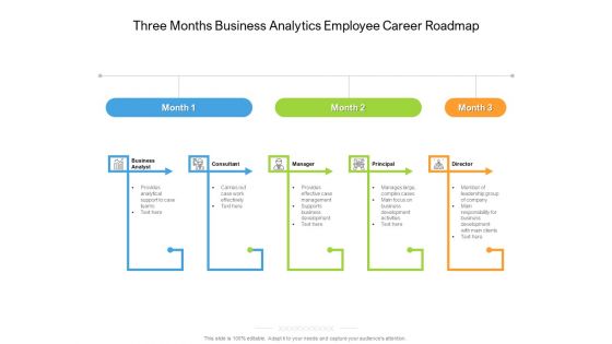 Three Months Business Analytics Employee Career Roadmap Formats Three Months Business Analytics Employee Career Roadmap Formats