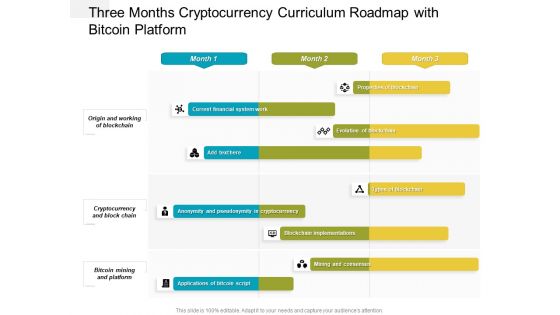 Three Months Cryptocurrency Curriculum Roadmap With Bitcoin Platform Template