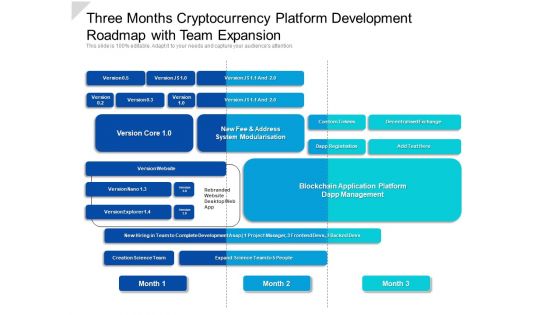 Three Months Cryptocurrency Platform Development Roadmap With Team Expansion Professional