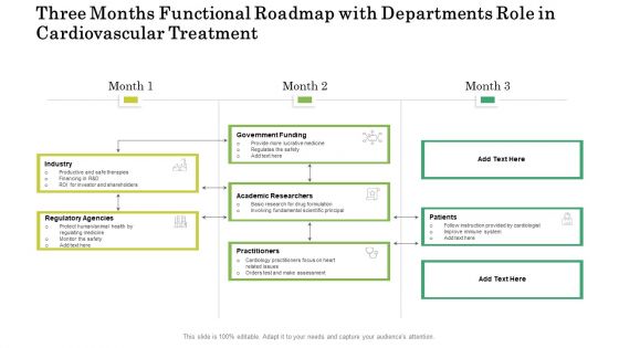 Three Months Functional Roadmap With Departments Role In Cardiovascular Treatment Graphics