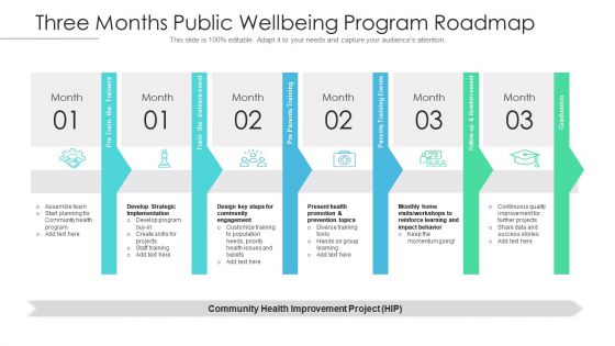 Three Months Public Wellbeing Program Roadmap Background