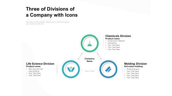 Three Of Divisions Of A Company With Icons Ppt PowerPoint Presentation Portfolio Good PDF