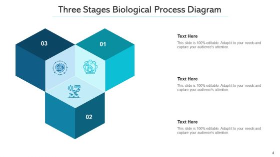 Three Stages Professionals Infographic Ppt PowerPoint Presentation Complete Deck With Slides