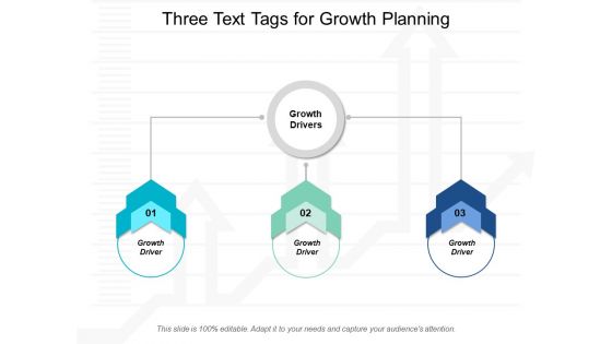 Three Text Tags For Growth Planning Ppt Powerpoint Presentation Styles Show