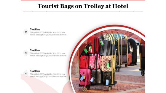 Tourist Bags On Trolley At Hotel Ppt PowerPoint Presentation Slide PDF