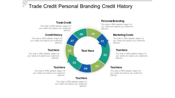 Trade Credit Personal Branding Credit History Marketing Costs Ppt PowerPoint Presentation Visual Aids Deck
