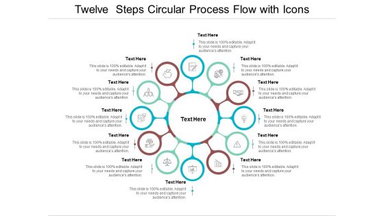 Twelve Steps Circular Process Flow With Icons Ppt PowerPoint Presentation Ideas Designs