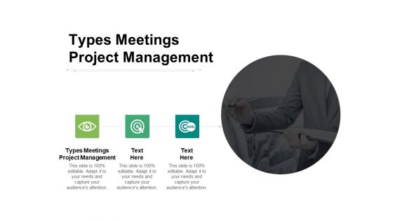 Types Meetings Project Management Ppt PowerPoint Presentation Infographics Icon Cpb