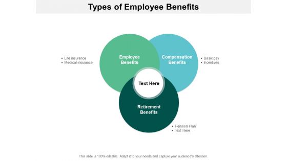 Types Of Employee Benefits Ppt PowerPoint Presentation Portfolio Icon