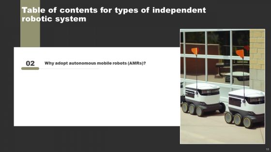Types Of Independent Robotic System Ppt PowerPoint Presentation Complete Deck With Slides