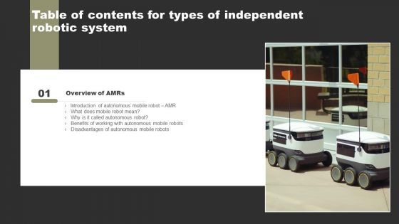 Types Of Independent Robotic System Table Of Contents Designs PDF