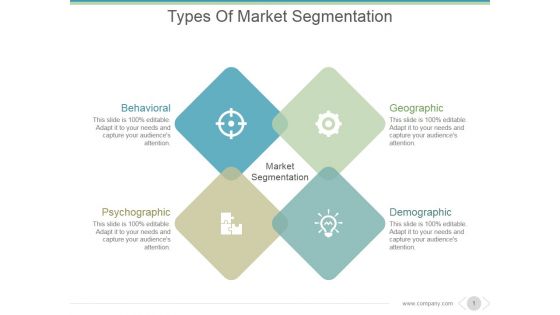Types Of Market Segmentation Ppt PowerPoint Presentation Infographic Template
