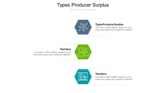Types Producer Surplus Ppt PowerPoint Presentation Ideas Layout Cpb Pdf