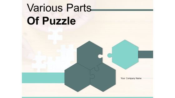 Various Parts Of Puzzle Market Research Ppt PowerPoint Presentation Complete Deck