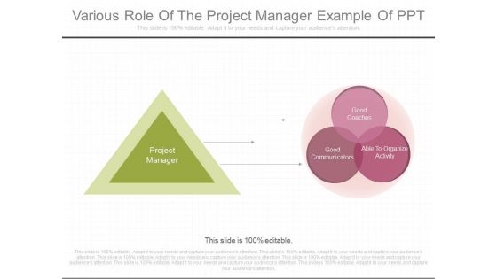 Various Role Of The Project Manager Example Of Ppt