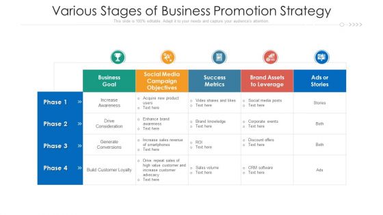 Various Stages Of Business Promotion Strategy Ppt Portfolio Designs Download PDF