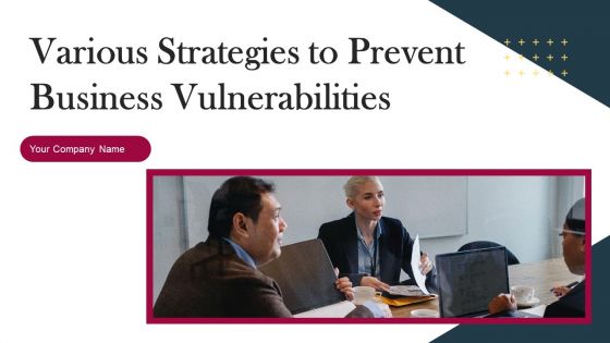 Various Strategies To Prevent Business Vulnerabilities Ppt PowerPoint Presentation Complete Deck With Slides