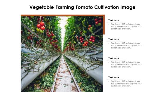 Vegetable Farming Tomato Cultivation Image Ppt PowerPoint Presentation Pictures Tips PDF