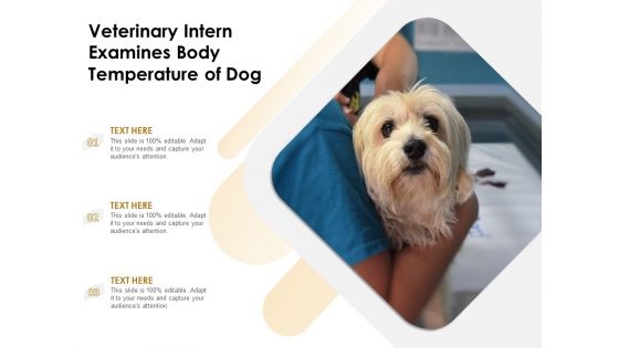 Veterinary Intern Examines Body Temperature Of Dog Ppt PowerPoint Presentation Inspiration Pictures PDF